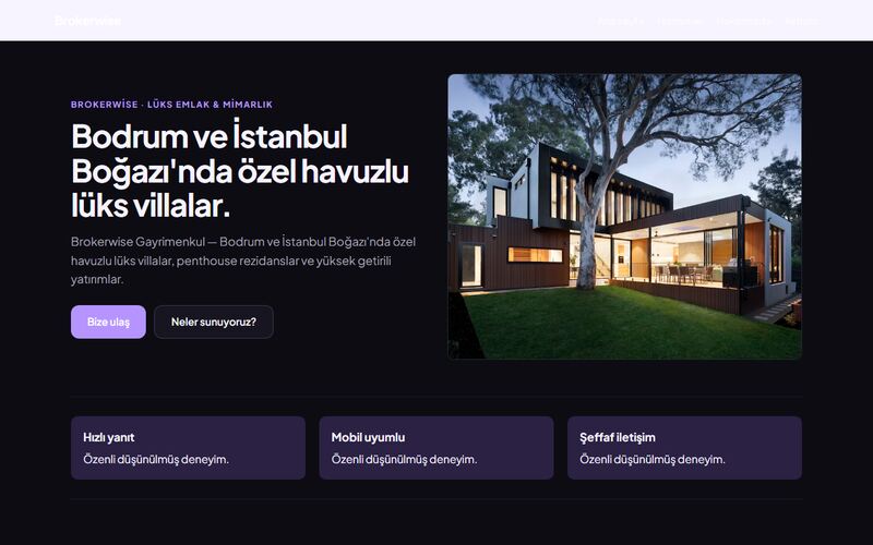 Brokerwise örnek sitesinin ana sayfası