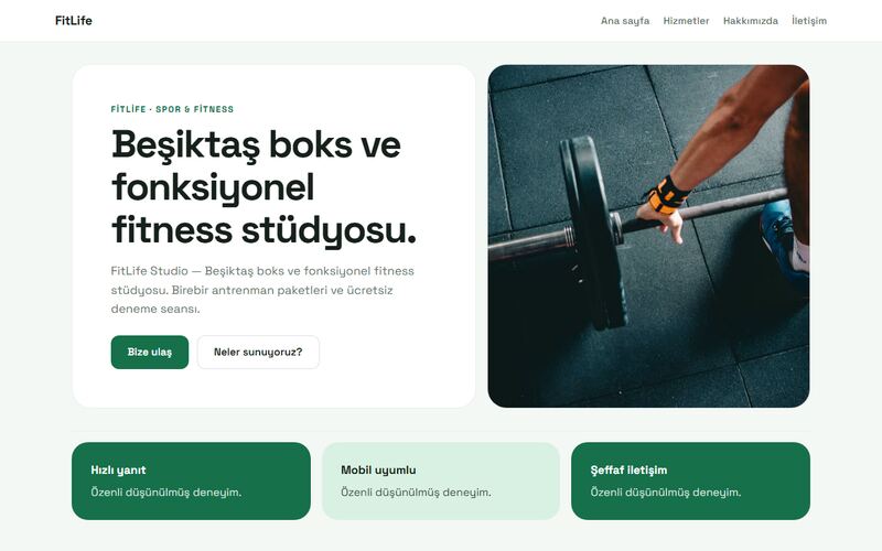 FitLife örnek sitesi