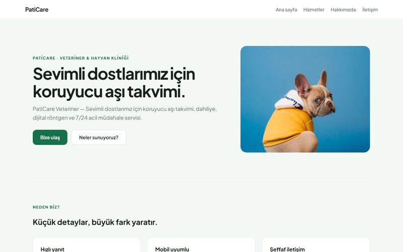 PatiCare örnek sitesinin ana sayfası