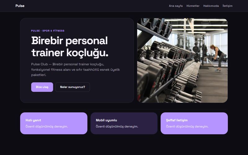 Pulse örnek sitesinin ana sayfası
